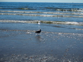 IJmuiden aan Zee, strand zonder files