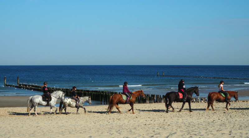 5x een strandtent in Domburg om heerlijk te genieten