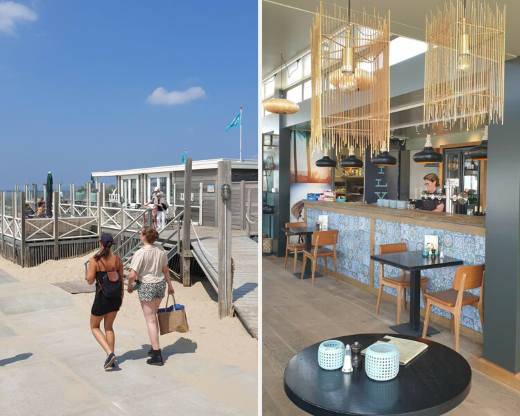 Zilvermeeuw strandtent Egmond aan zee