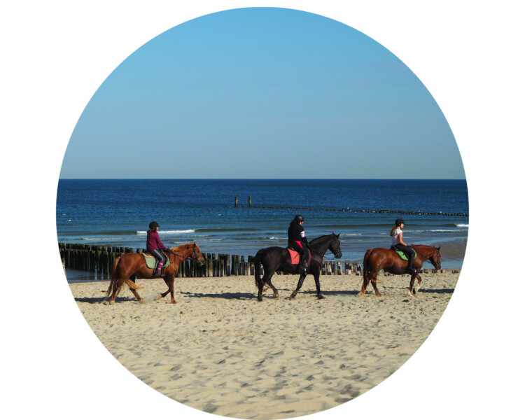 Strandtenten Domburg