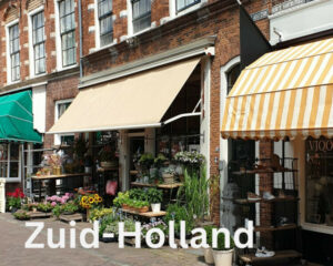 Wat te doen in Zuid-Holland in 2022