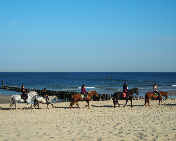 5x een strandtent in Domburg om heerlijk te genieten